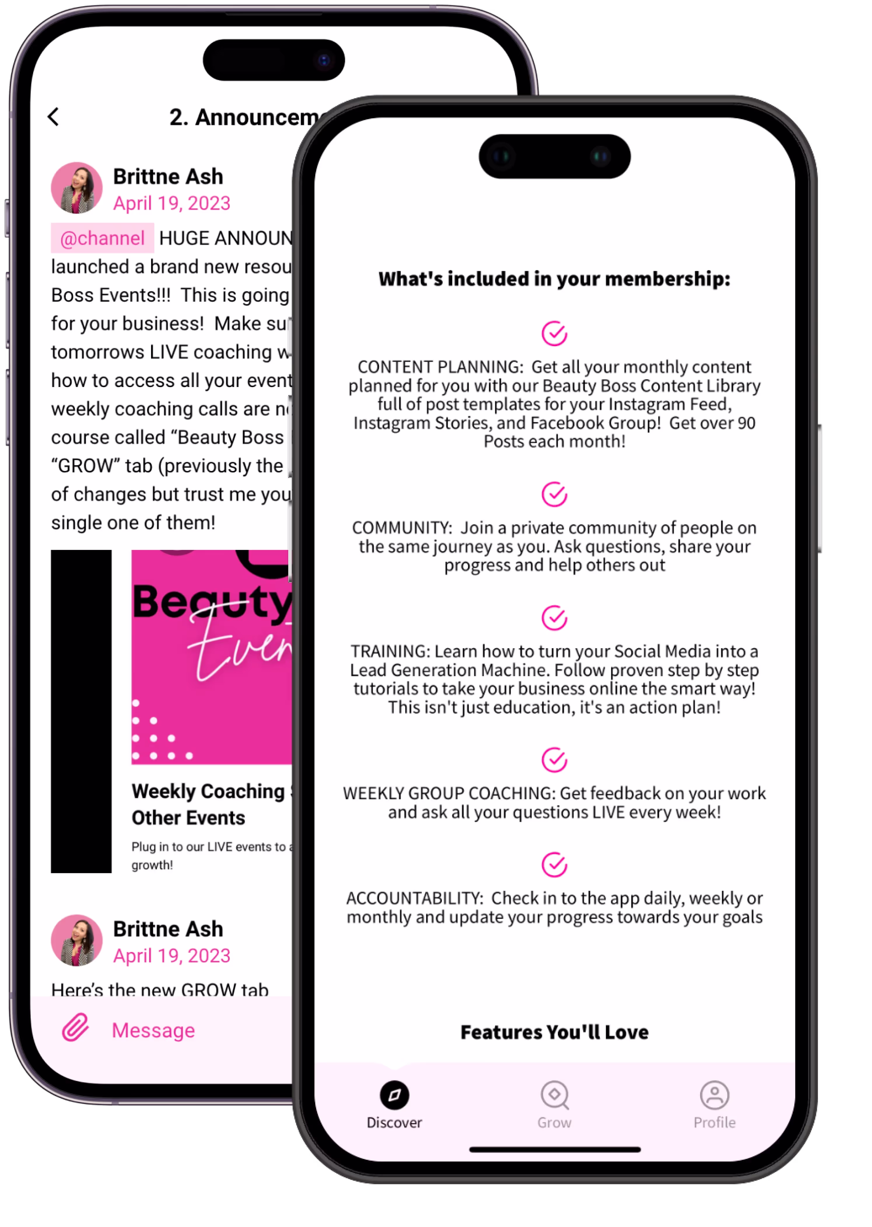 The Beauty boss iphone app that shows the membership includes community, training, and accountability, as well as what the community looks like.